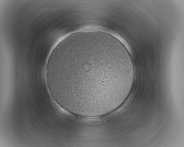 X0000108481486200905011151