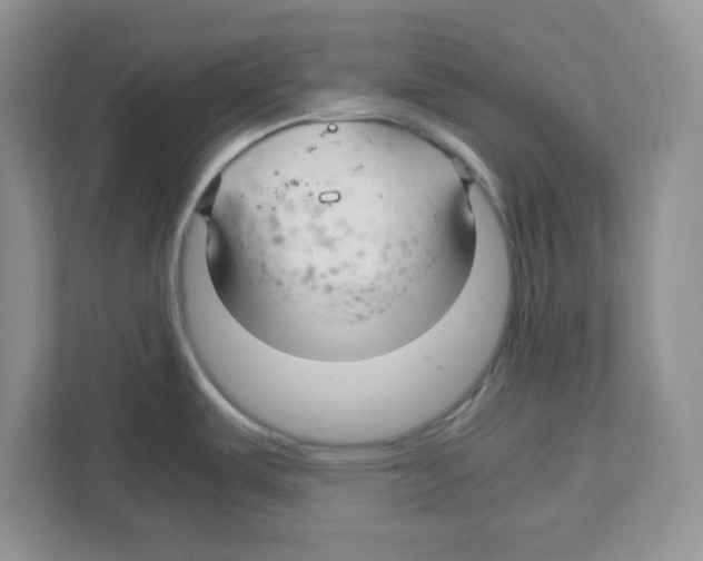 X0000108481487200905011151