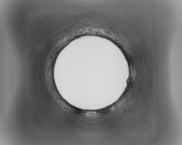 X0000108481489200905011151