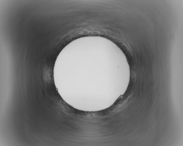 X0000108481490200905011151