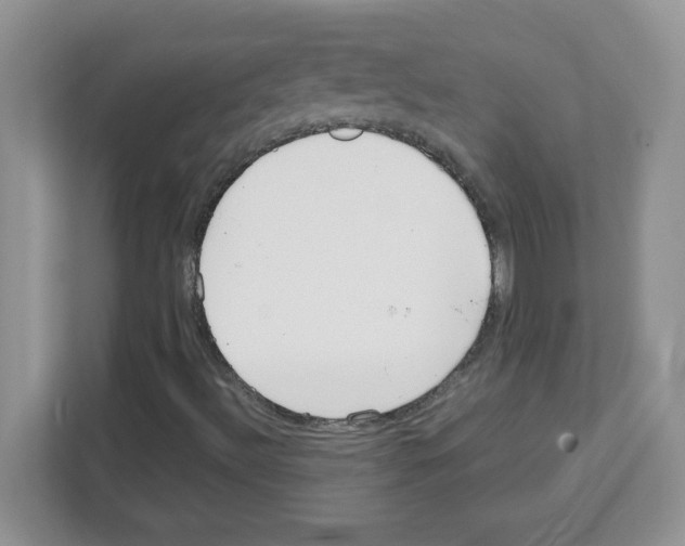 X0000108481492200905011151