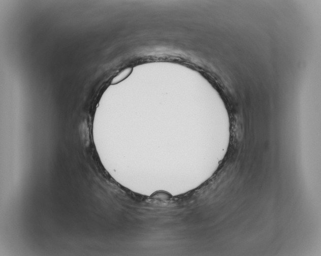 X0000108481493200905011151