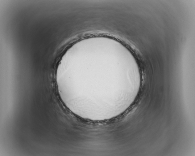 X0000108481494200905011151