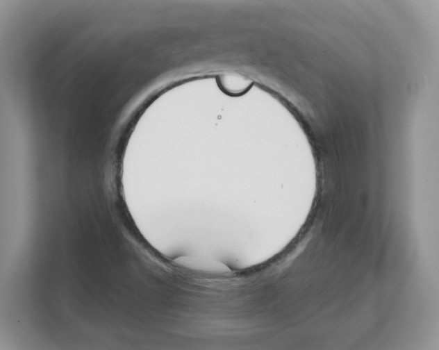 X0000108481502200905011151