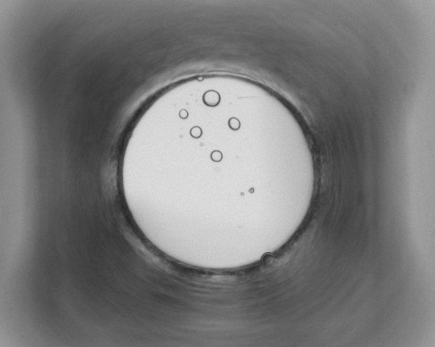 X0000108481503200905011151