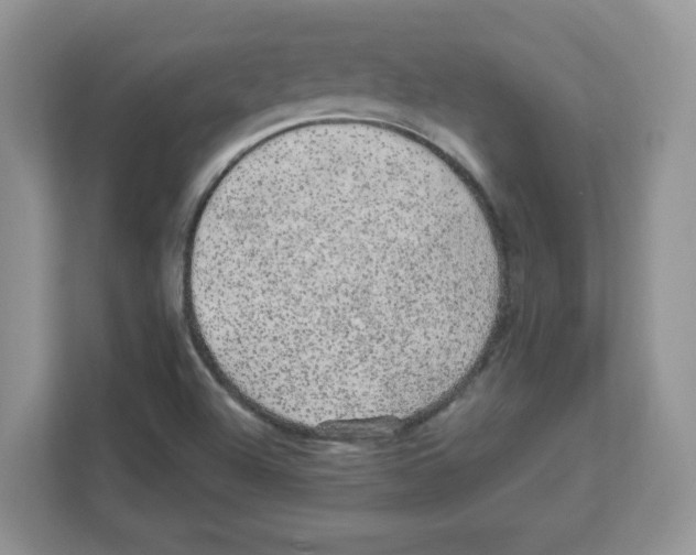 X0000108481504200905011151