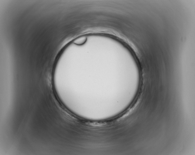 X0000108481505200905011151