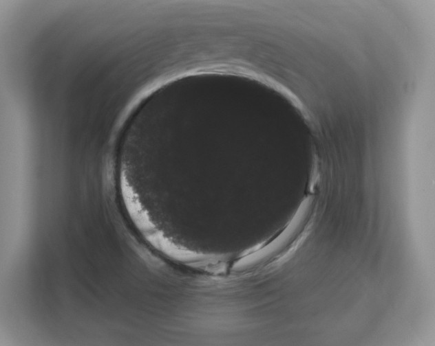 X0000108481506200905011151
