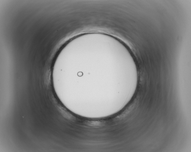 X0000108481507200905011151