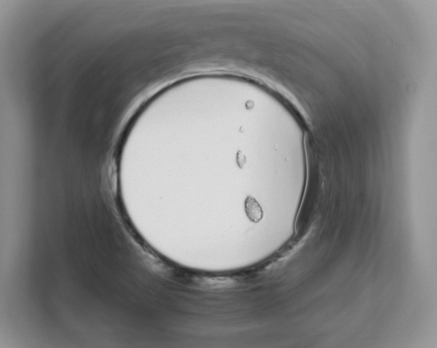 X0000108481509200905011151
