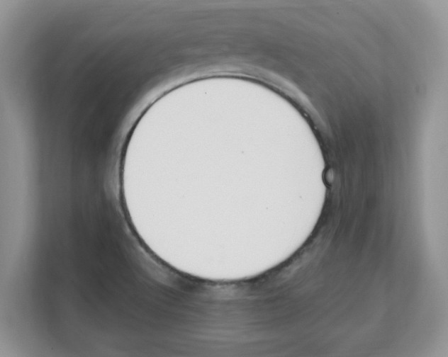 X0000108481512200905011151