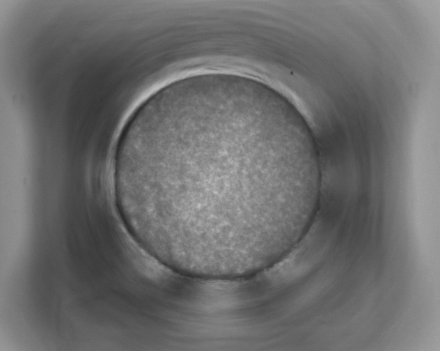 X0000108481514200905011151
