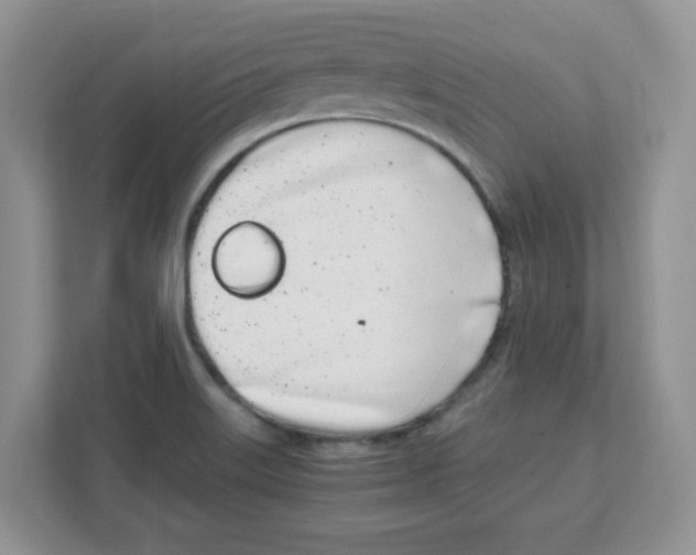 X0000108481515200905011151