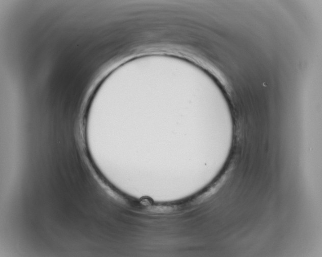 X0000108481517200905011151