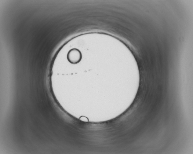 X0000108481518200905011151