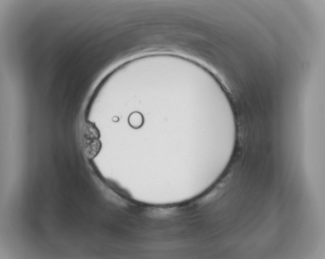 X0000108481519200905011151