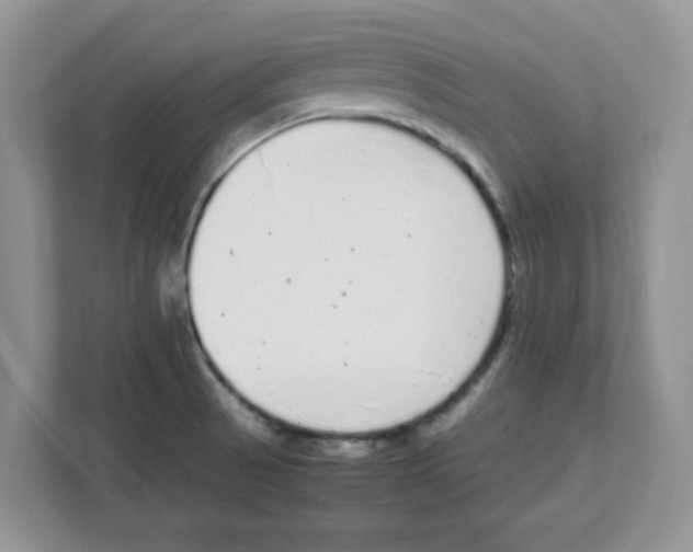 X0000108481521200905011151