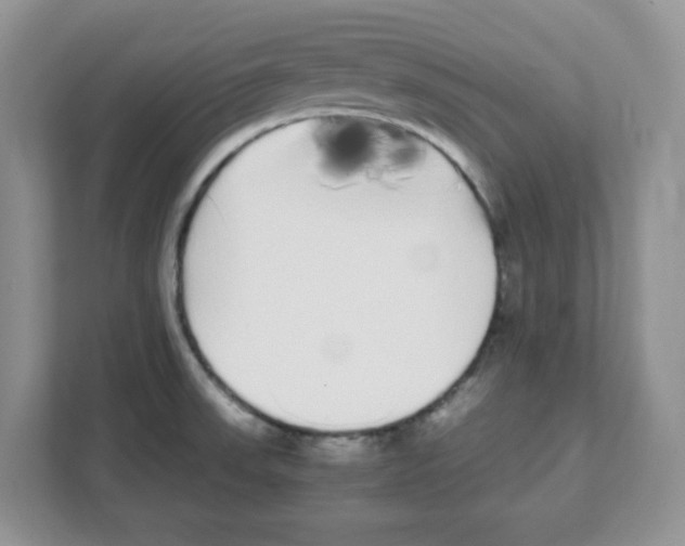 X0000108481523200905011151