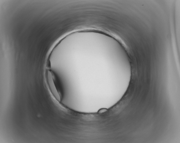 X0000108481524200905011151