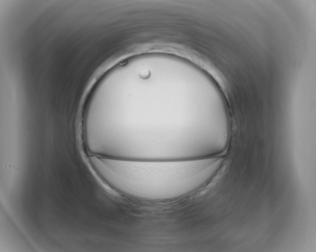 X0000108481525200905011151