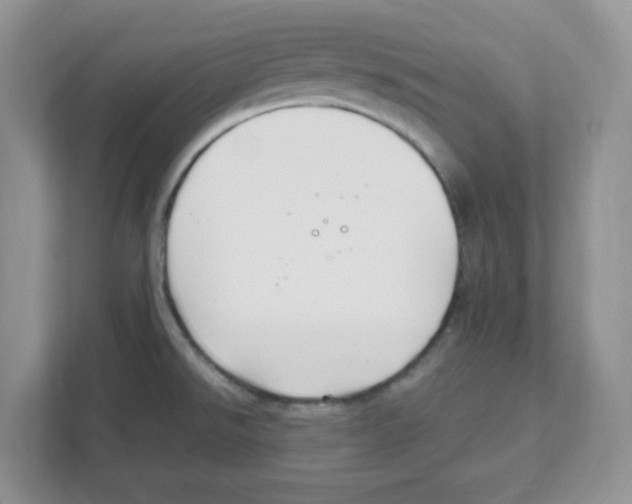X0000108481526200905011151