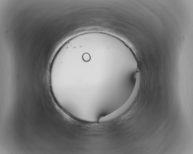X0000108481527200905011151