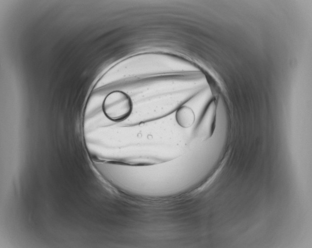 X0000108481529200905011151