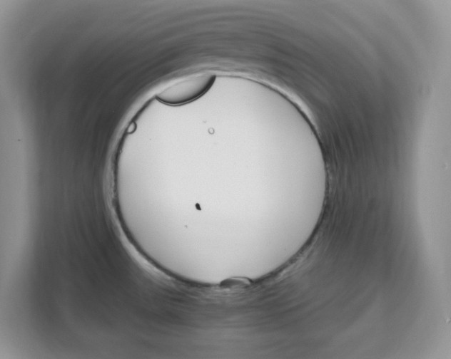 X0000108481531200905011151