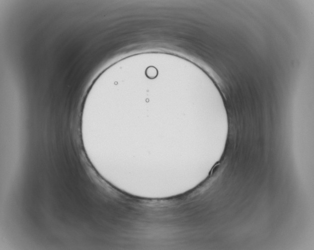 X0000108481534200905011151