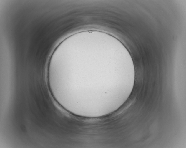 X0000108481535200905011151