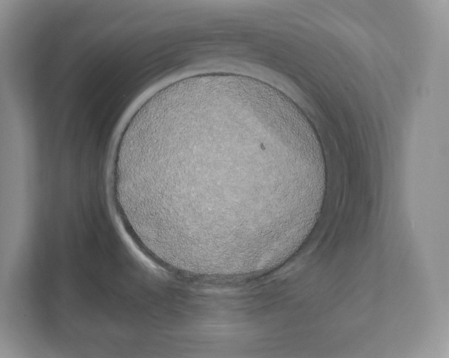 X0000108481536200905011151