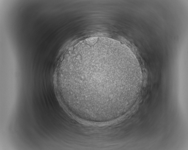 X0000108480002200905151232