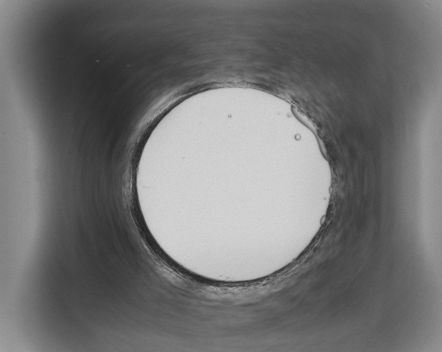 X0000108480005200905151232