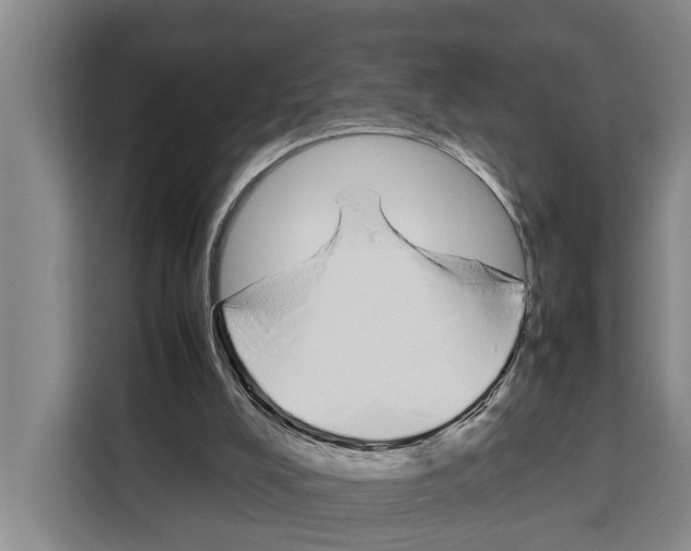 X0000108480008200905151232