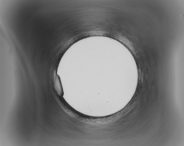 X0000108480013200905151232