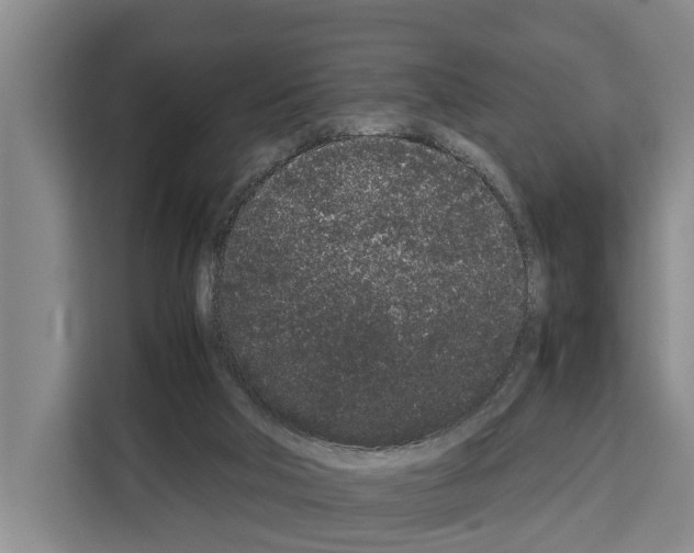 X0000108480018200905151232