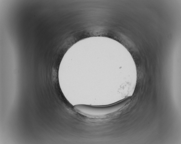 X0000108480025200905151232