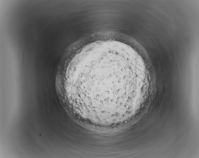 X0000108480026200905151232