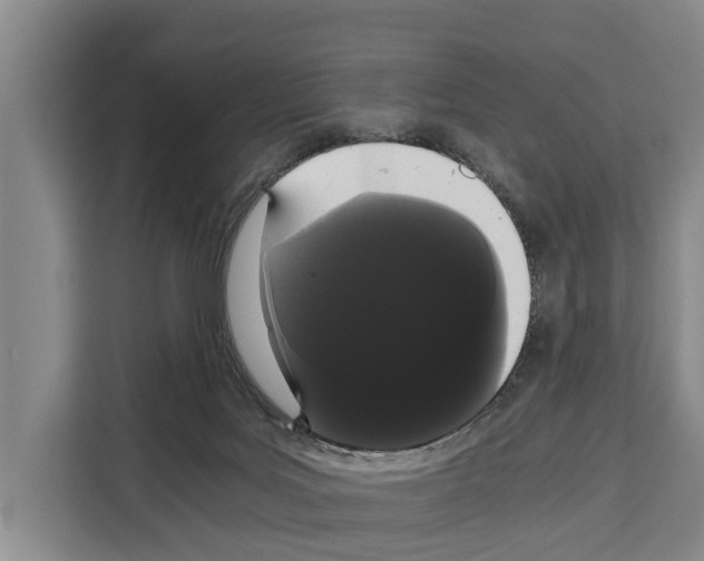 X0000108480027200905151232