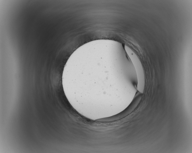 X0000108480029200905151232