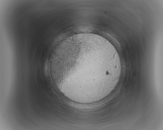 X0000108480030200905151232