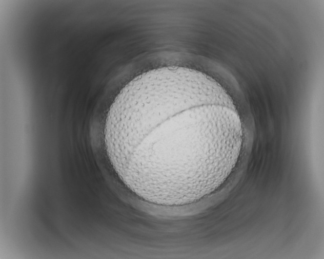 X0000108480034200905151232