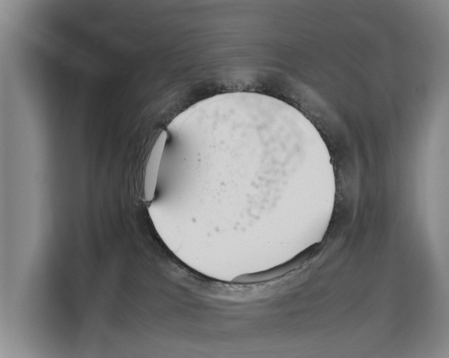 X0000108480037200905151232