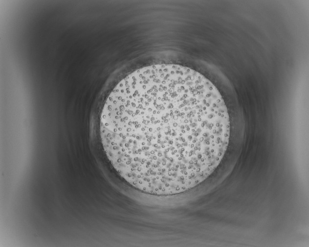 X0000108480038200905151232