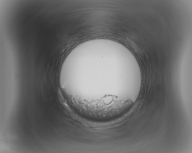 X0000108480039200905151232