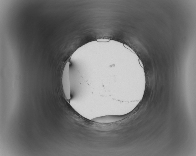 X0000108480041200905151232