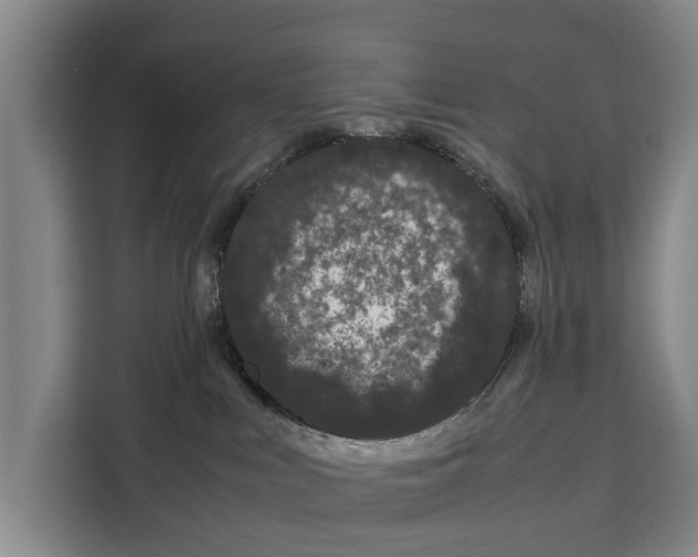 X0000108480043200905151232