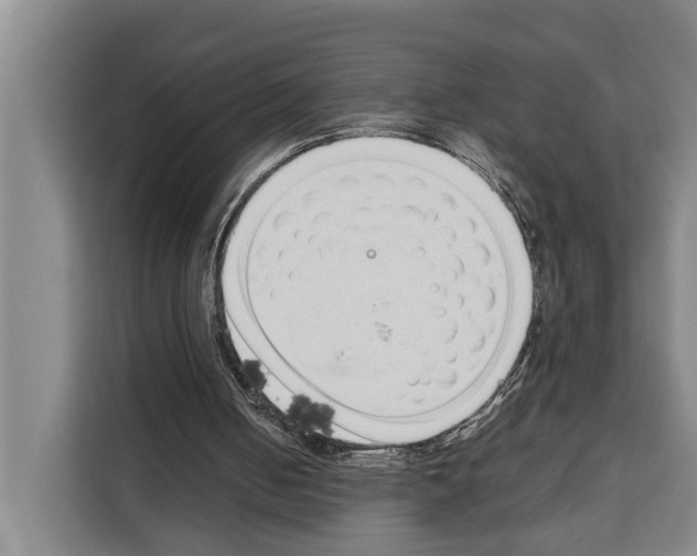 X0000108480050200905151231
