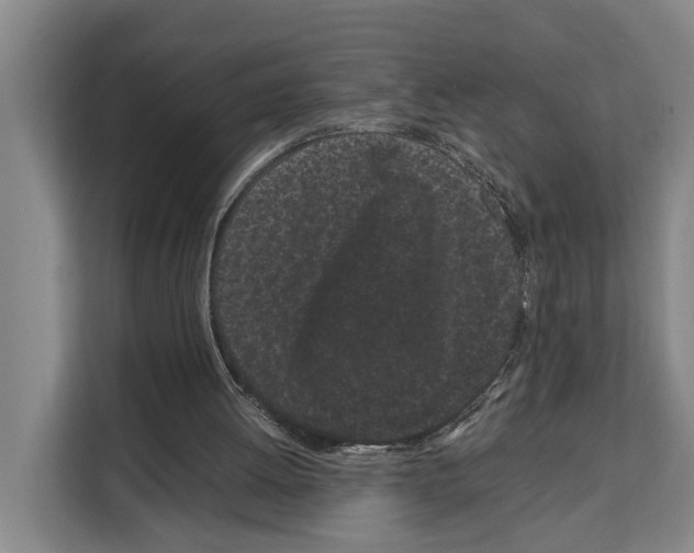 X0000108480052200905151231