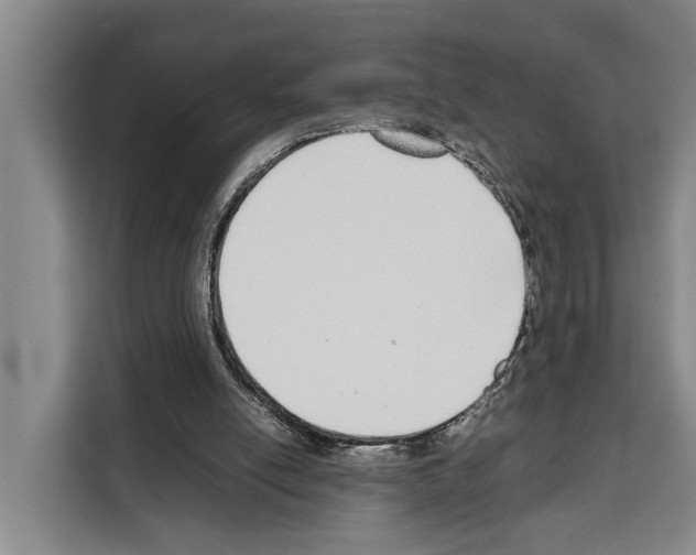 X0000108480054200905151231